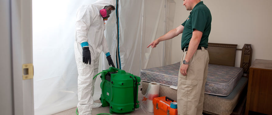 Kendall, FL mold removal process